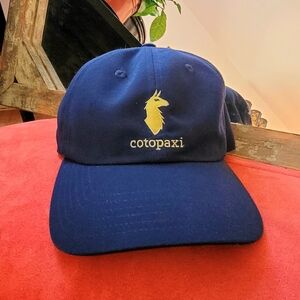 Cotopaxi Dad Hat Llama Logo Navy Blue Lime Green Hat Cap